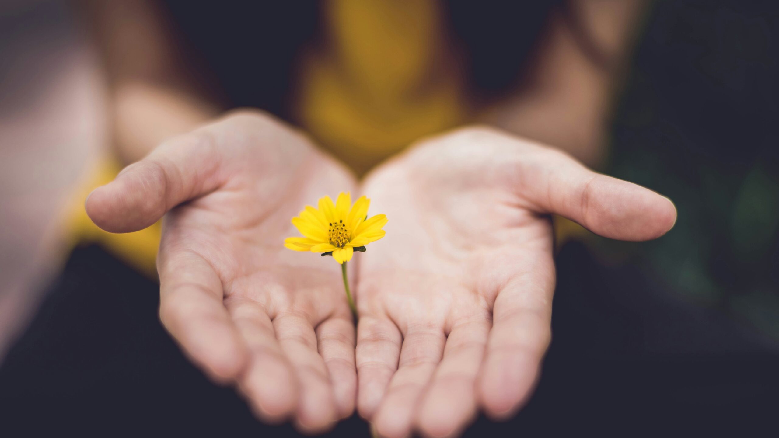 lina trochez ktpkyus3qjs unsplash